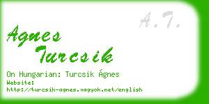 agnes turcsik business card